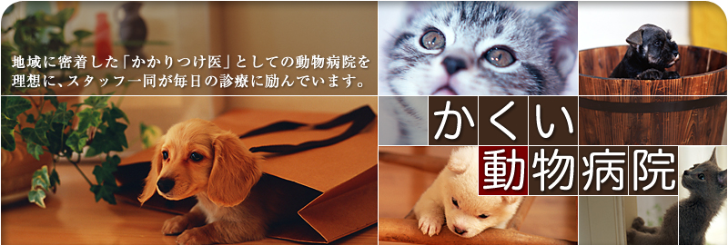 地域に密着した「かかりつけ医」としての動物病院を理想に、スタッフ一同が毎日の診療に励んでいます。